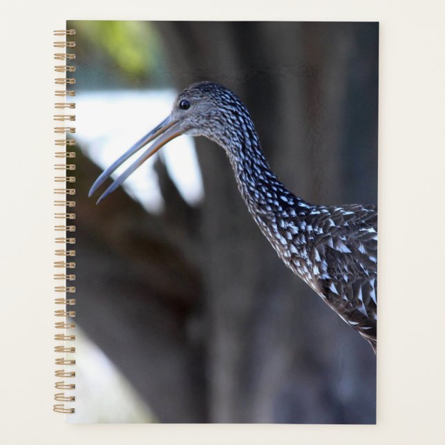 Agenda Limpkin, The Crying Bird (Anverso)