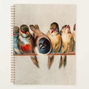 Agenda Línea de aves y palomas