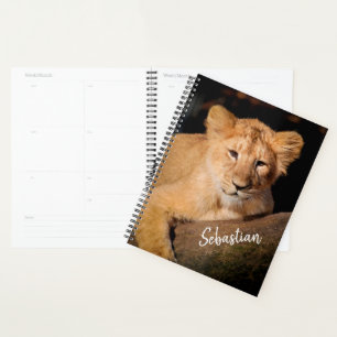 Agenda Lion Cub