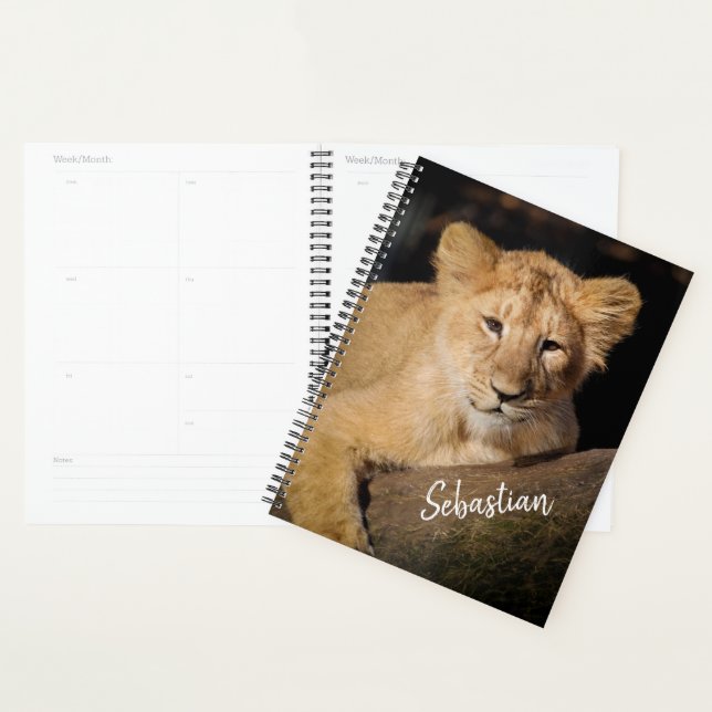Agenda Lion Cub (Demostración)