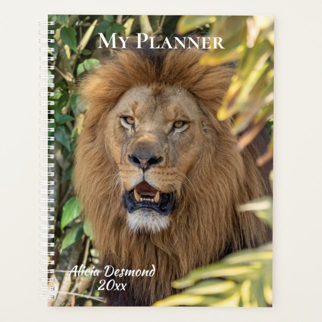 Agenda Lion Planner (Anverso)