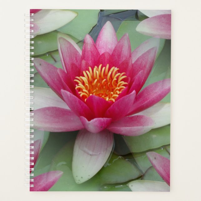 Agenda Lirio de agua de Lotus rosa (Anverso)