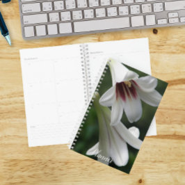 Agenda Lirios Gigantes del Himalaya Floral