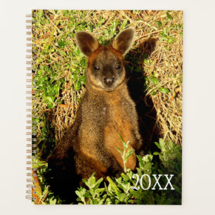 Agenda Little Wallaby