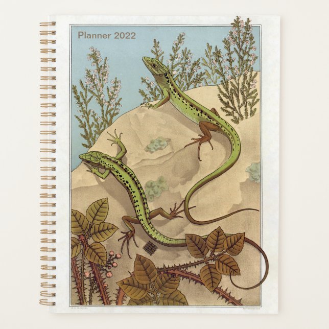 Agenda Lizard de Verneuil, Lézard, Arte Reptile Francés, (Anverso)
