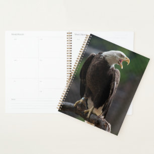 Agenda Llamada de águila calva