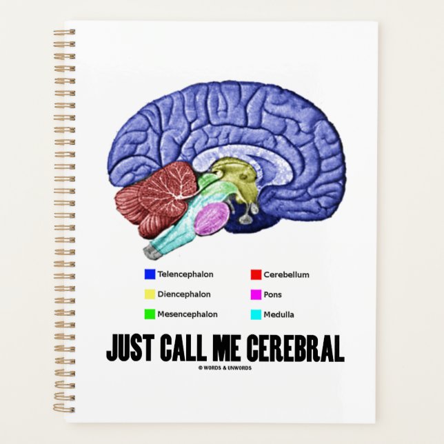 Agenda Llámame Humor De Anatomía Cerebral (Anverso)