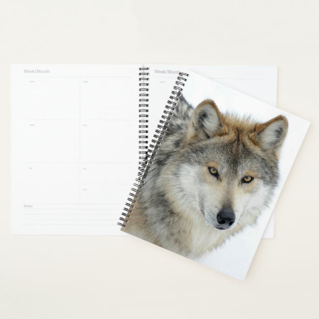 Agenda Lobo (Demostración)