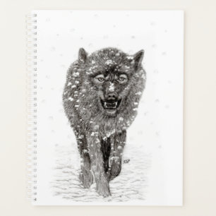 Agenda Lobo negro enojado en la nieve, invierno salvaje