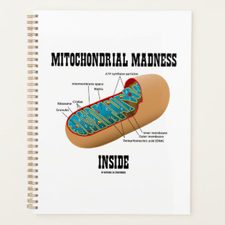 Agenda Locura mitocondrial dentro de la biología mitocond
