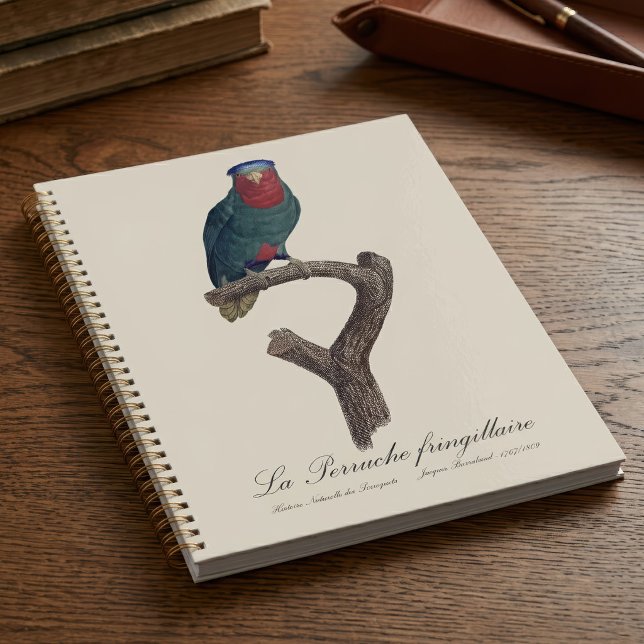 Agenda Lori de corona azul, Vini Australis (Blue-Crowned Lorikeet, Vini Australis. Planner)