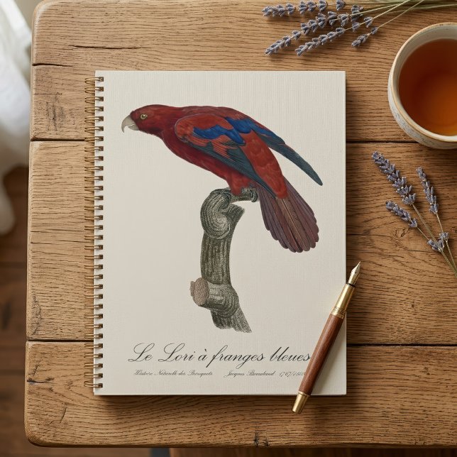 Agenda Lori rojo de cola larga, Trichoglossus borneus (Long-Tailed Red Lory, Trichoglossus borneus. Planner )