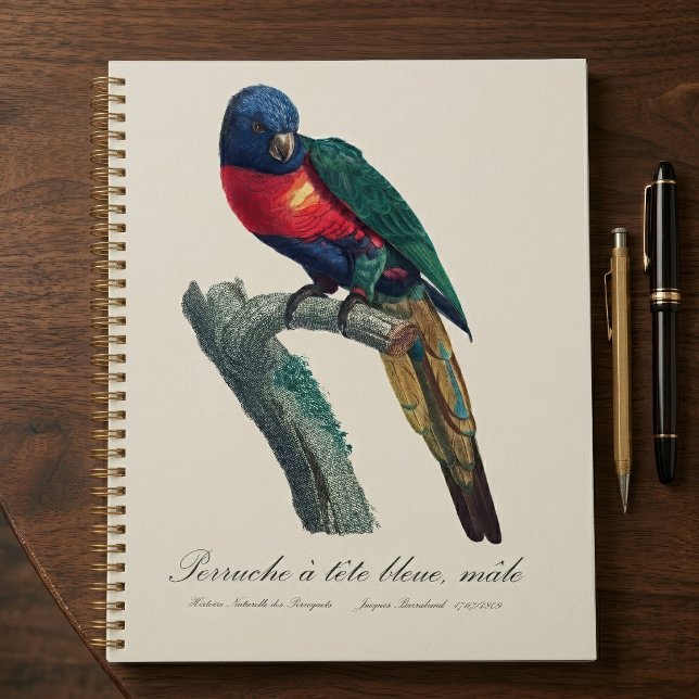 Agenda Loricito Arcoíris Macho, Trichoglossus Moluccanus (Rainbow Lorikeet Male, Trichoglossus Moluccanus. Planner)