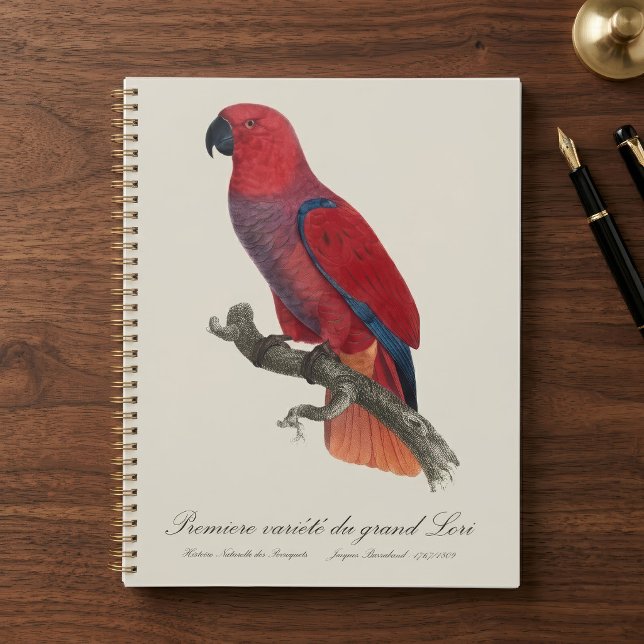 Agenda Loro Eclecto de Vosmaer, Eclectus Roratus Vosmaeri (Vosmaer Eclectus Parrot, Eclectus Roratus Vosmaeri. Planner)