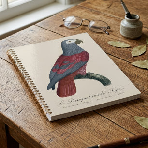 Agenda Loro Gris Africano Factor Rojo Psittacus Erithacus