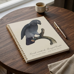 Agenda Loro gris africano Timneh, Psittacus Timneh
