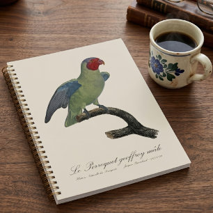 Agenda Loro mejilla roja macho, Geoffroyus geoffroyi