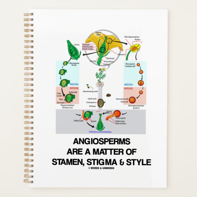 Agenda Los Angiospermos Son Una Cuestión De Estigma Y Est (Anverso)