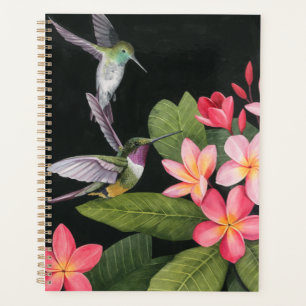 Agenda Los colibríes en la Plumeria