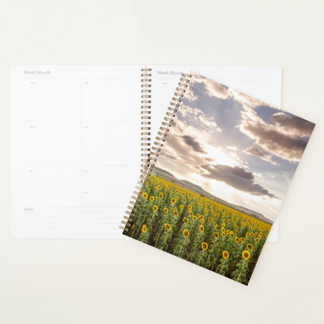 Agenda Los girasoles al atardecer (Demostración)