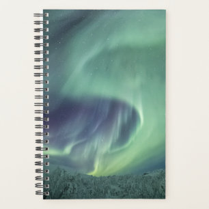 Agenda Luces boreales