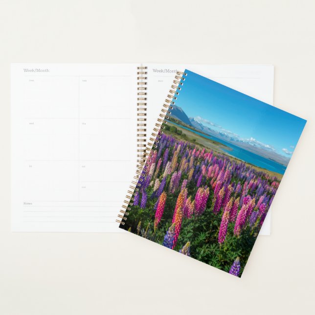 Agenda Lupines rusos en el lago Tekapo | Nueva Zelanda (Demostración)