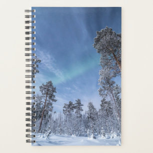 Agenda Luz del Norte Noruega