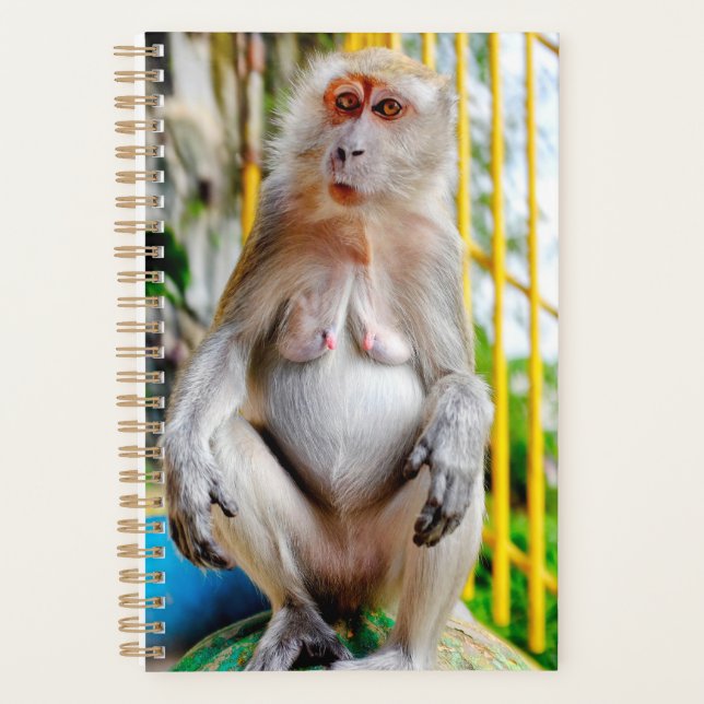 Agenda Macaco cangrejero (Anverso)
