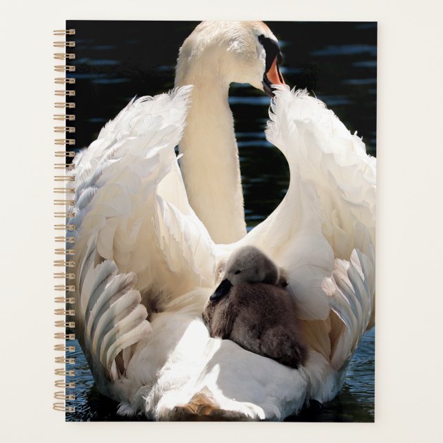 Agenda Madre Cisne con Cygnets (cisnes de bebé) (Anverso)
