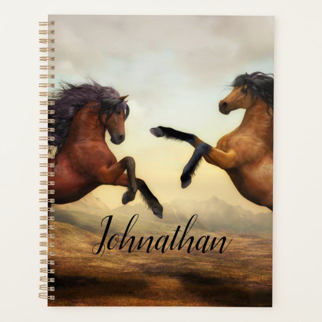 Agenda Majestic Stallions