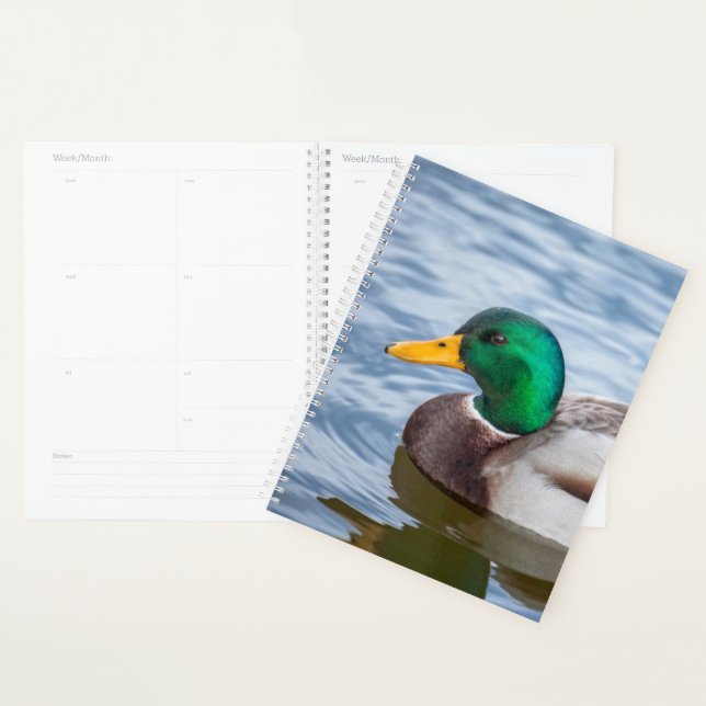 Agenda Mallard Duck (Demostración)