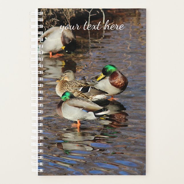 Agenda Mallard Ducks (Anverso)