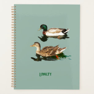 Agenda Mallas de los Ducks