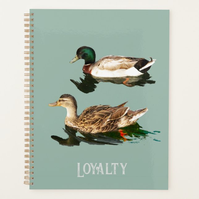 Agenda Mallas de los Ducks (Anverso)