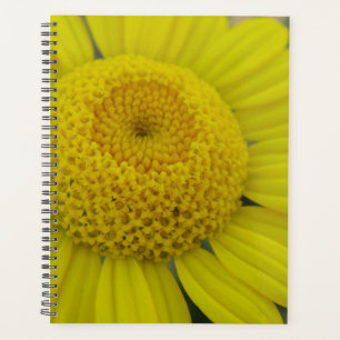 Agenda marguerita amarillo bonito