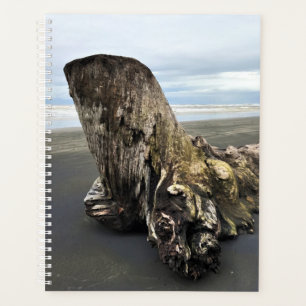 Agenda Marido de deriva en la playa de Benson, decepción 