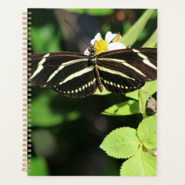 Agenda Mariposa cebra