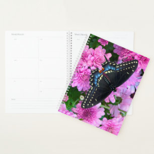 Agenda Mariposa de Baltimore de Cuadros