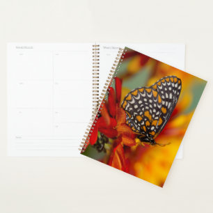 Agenda Mariposa de Baltimore de lunares