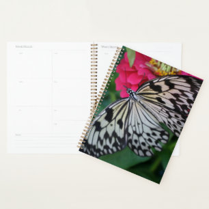Agenda Mariposa de Paperkite
