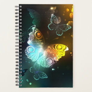 Agenda Mariposa luminosa y mariposas nocturnas