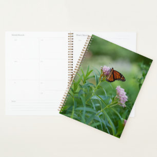 Agenda Mariposa monarca
