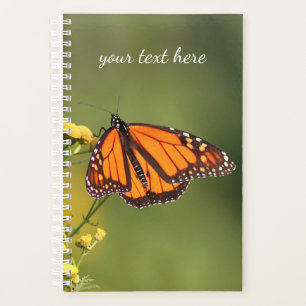 Agenda Mariposa monarca
