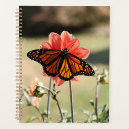 Agenda Mariposa monarca en Dahlia