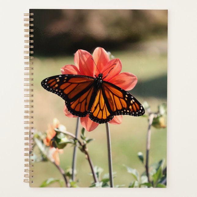 Agenda Mariposa monarca en Dahlia (Anverso)