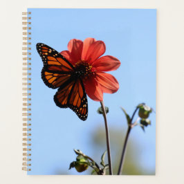 Agenda Mariposa monarca en Dahlia