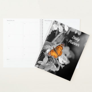 Agenda Mariposa naranja en Apple Blossom Daily Planner