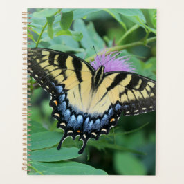 Agenda Mariposa Swallowtail del Tigre del Este