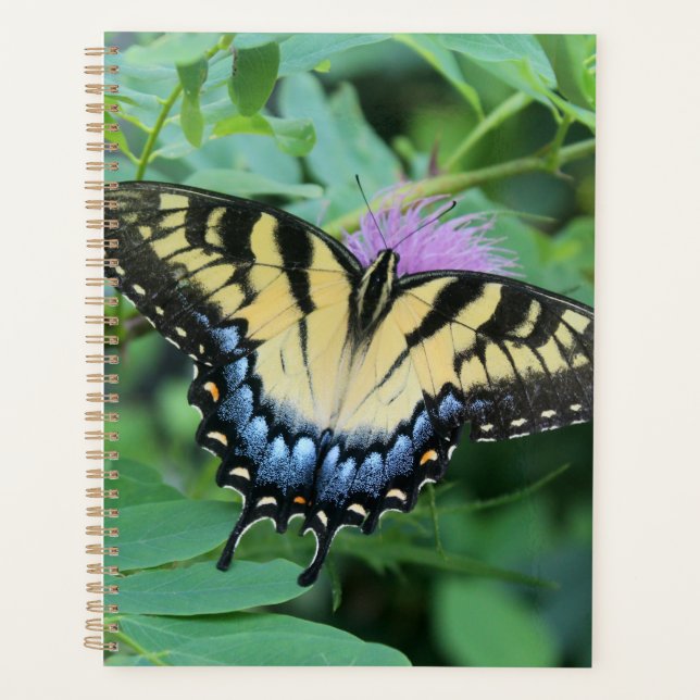 Agenda Mariposa Swallowtail del Tigre del Este (Anverso)