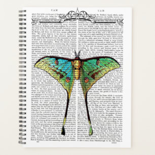 Agenda Mariposa vibrante